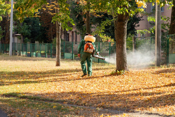 Wildlife Control Services in Hurst, TX